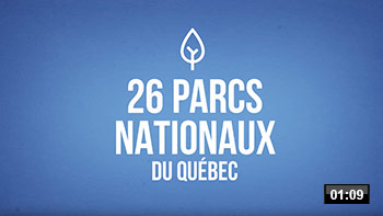Min-video-pq-motion.jpg
