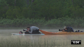 Tem-video-nature-sauvage.jpg