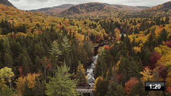 Mot-automne-video.jpg