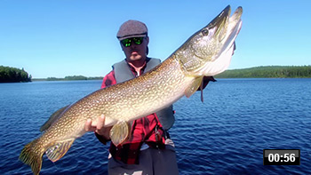 rom-brochet-thumbnail-video.jpg