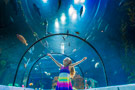 Duc_for_aquarium.jpg
