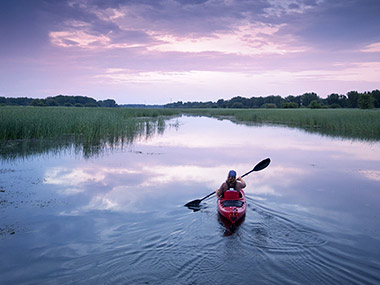 Kayak