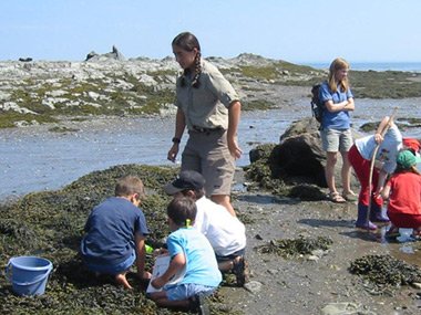 Littoral