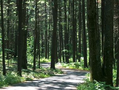 Sentier polyvalent