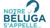Projet Béluga